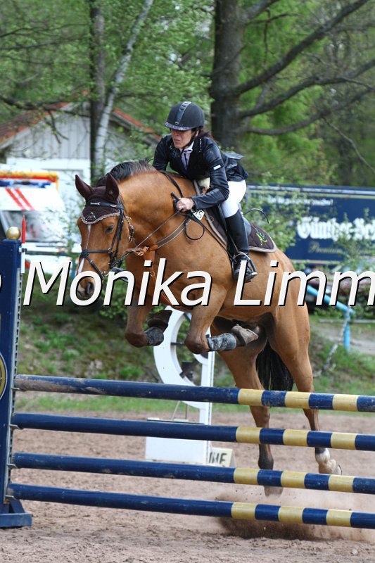 004M2147_Ludwig der Bayer_Punkte L m. Joker.JPG